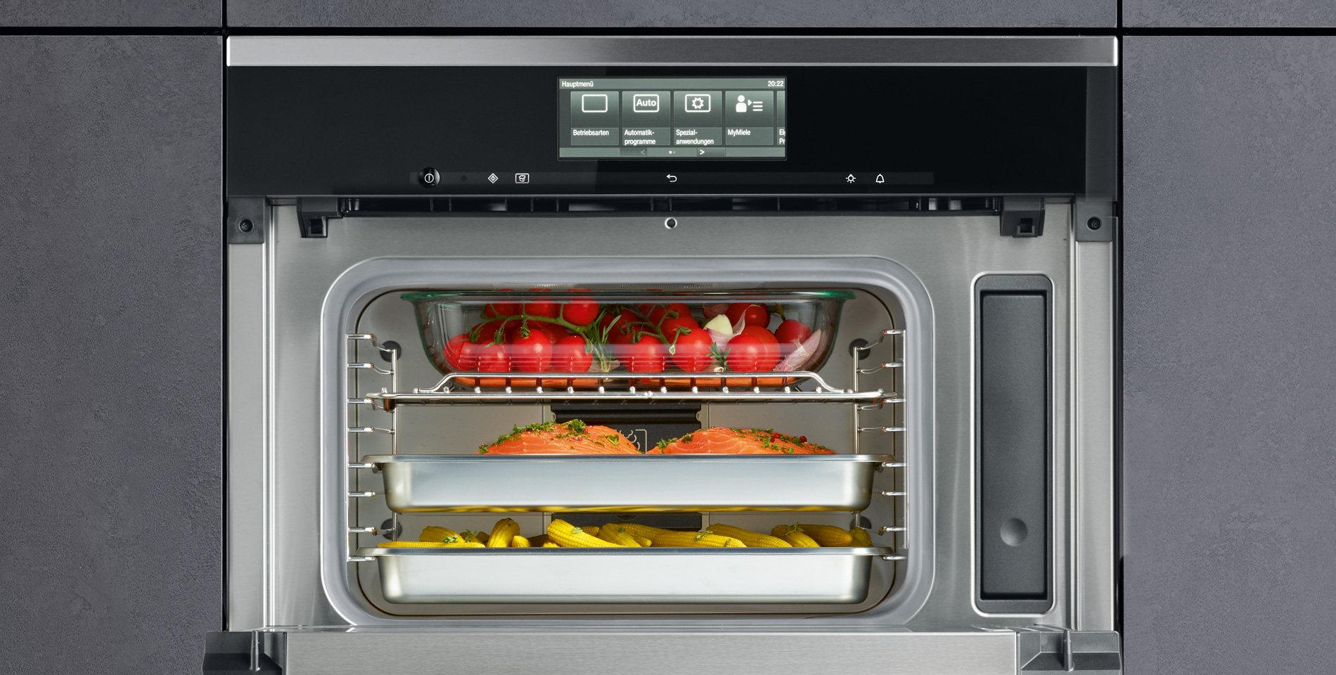 Miele DGM Steam Oven with Microwave » Miele
